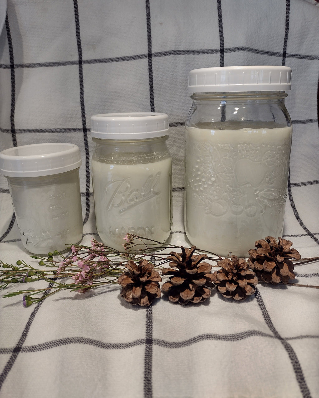 Raw-Milk Kefir Grains