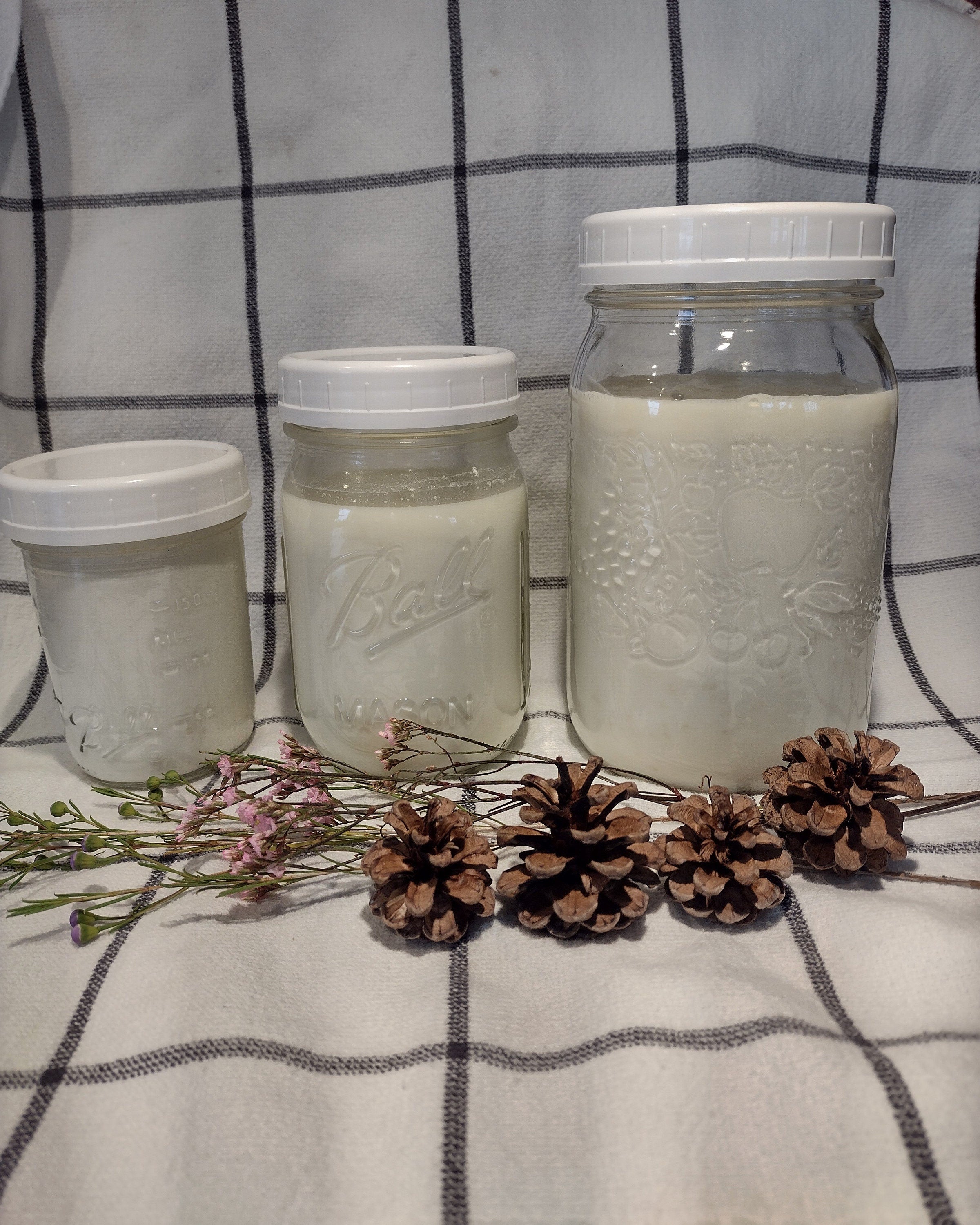 Raw-Milk Kefir Grains