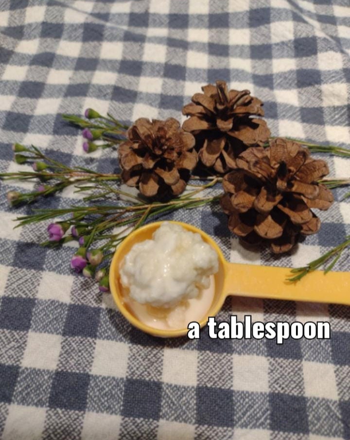 Raw-Milk Kefir Grains