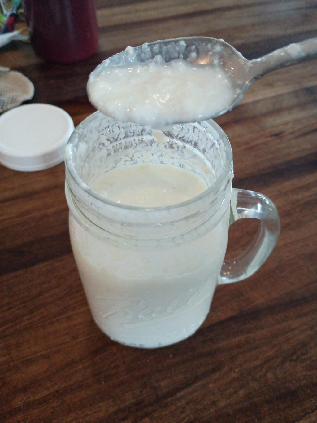 Raw-Milk Kefir Grains