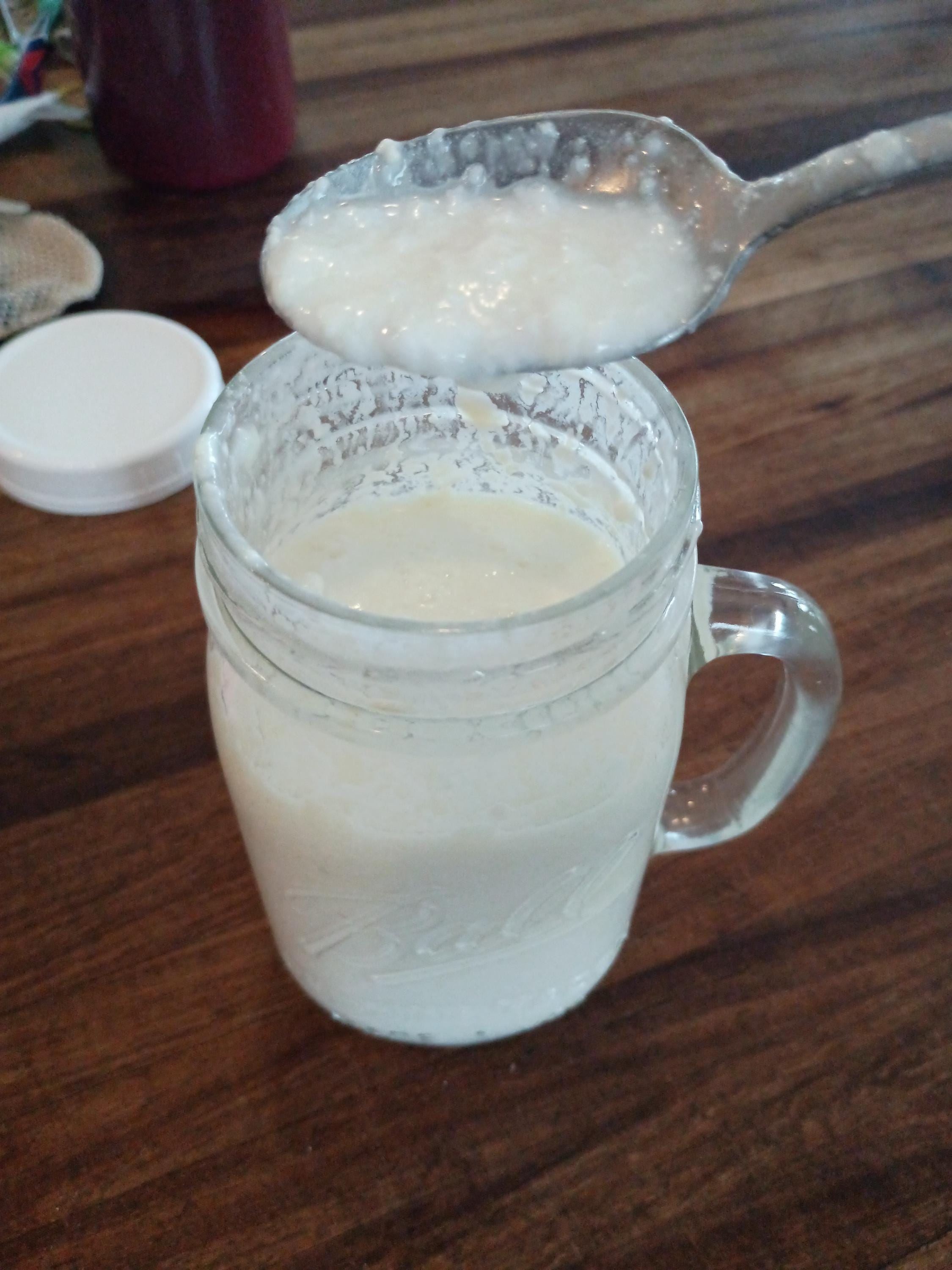 Raw-Milk Kefir Grains