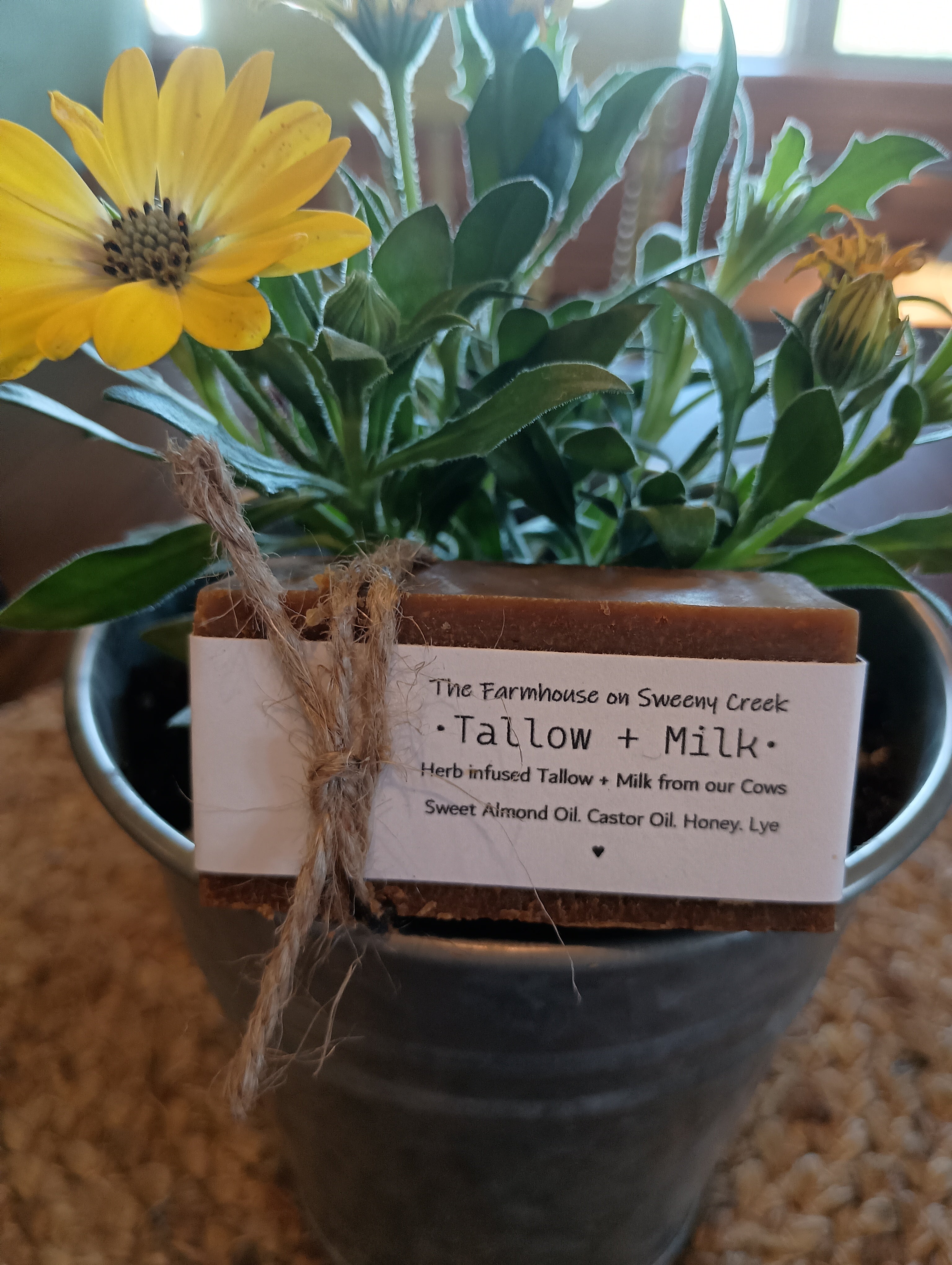 Homemade Tallow + Milk Soap