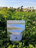 Freeze-Dried Organic Duck Eggs