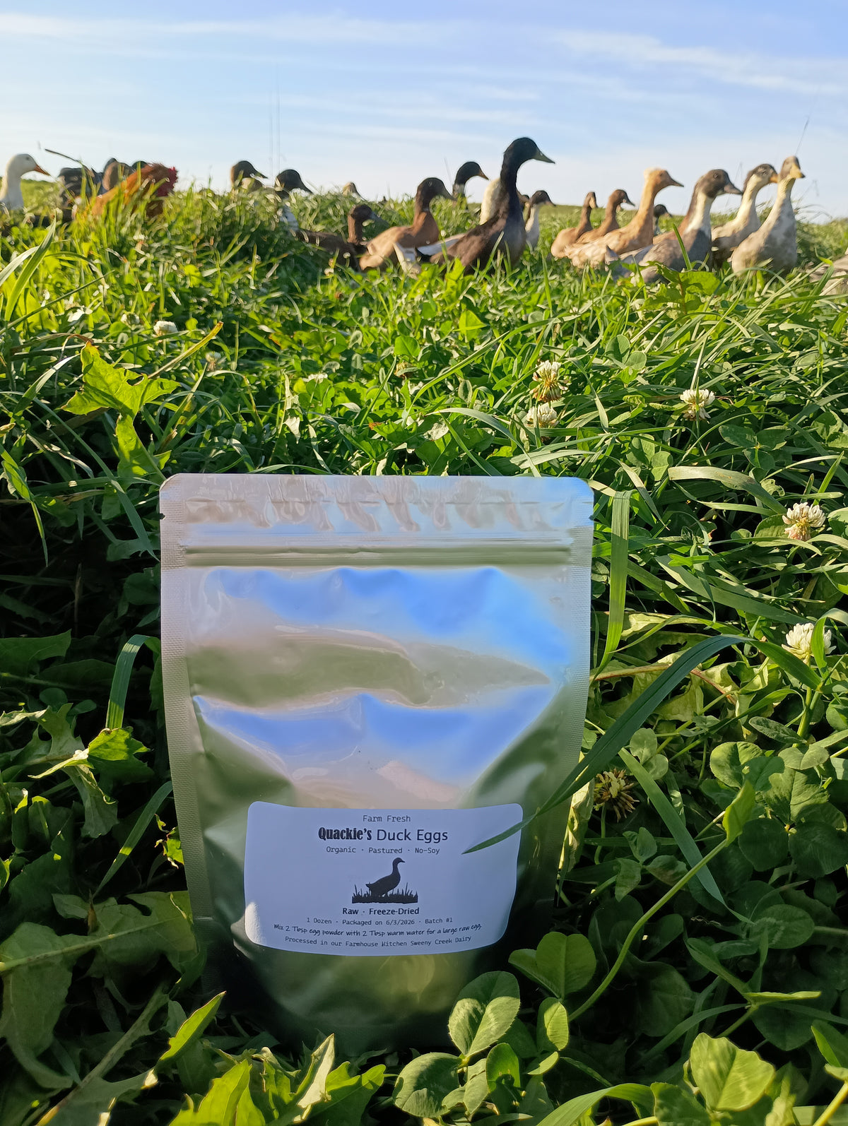 Freeze-Dried Organic Duck Eggs
